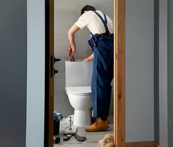 Professional Plumbers for Toilet Bowl Replacement in Port Hueneme, CA: Schedule Affordable Toilet Replacement Services With Us