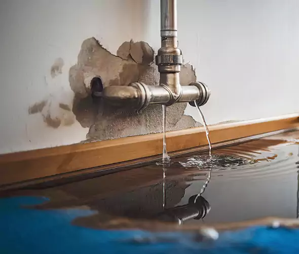 Professional Water Damage Restoration Experts in Port Hueneme, CA — Fast, Reliable & Certified