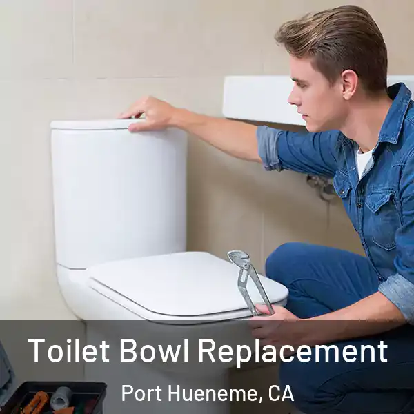  Toilet Bowl Replacement Port Hueneme, CA
