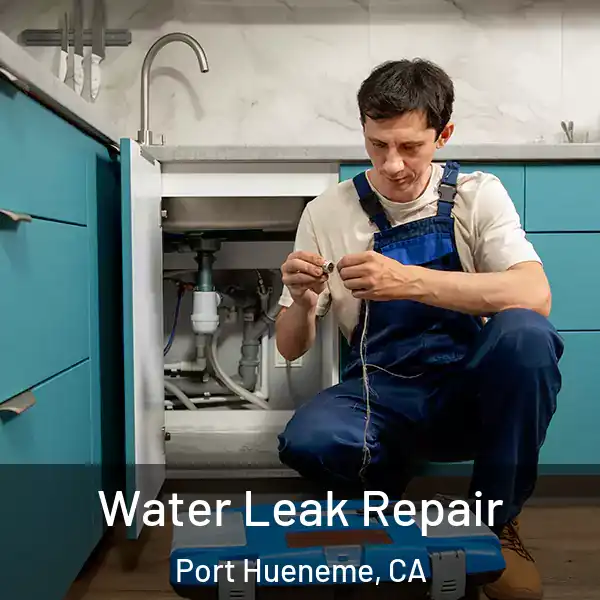  Water Leak Repair Port Hueneme, CA